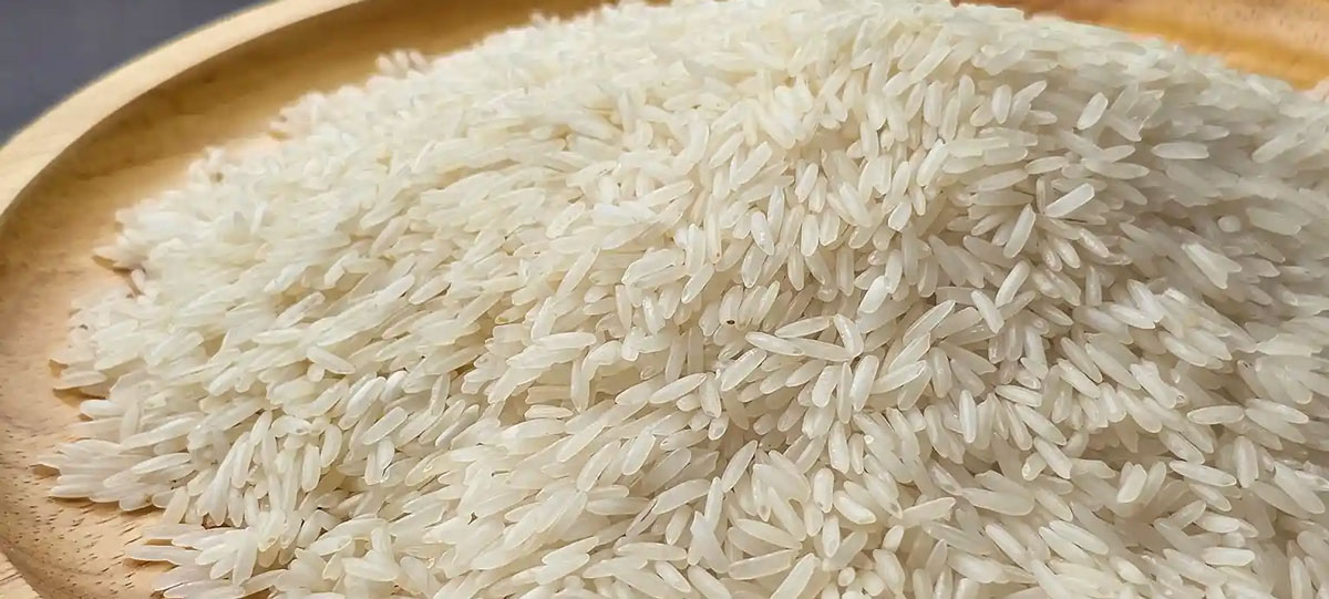 خرید برنج